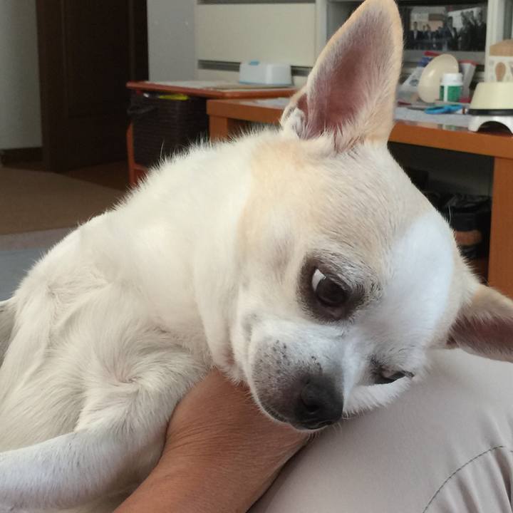 7979af28 06f6 424a b6f1 f66d601e85bf