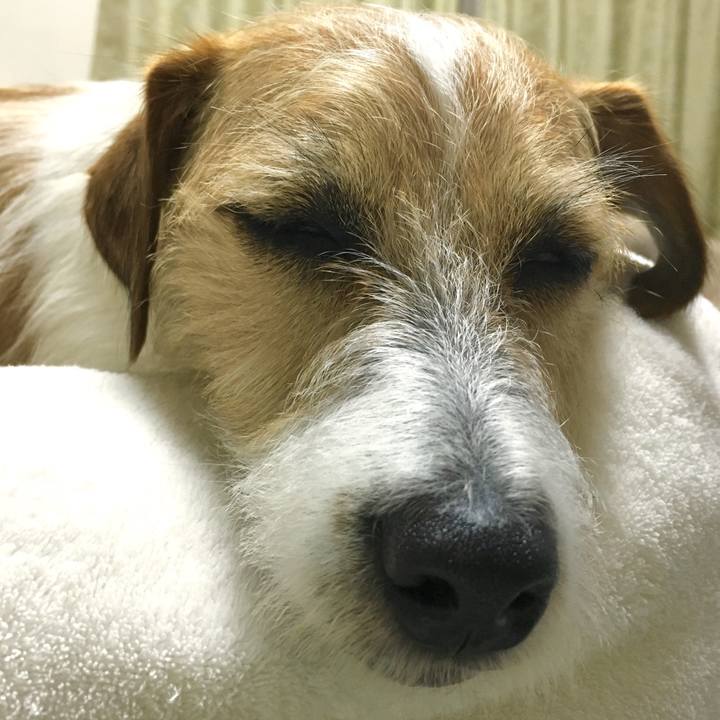 797a1ee3 b98f 4b27 bf8a 64e6189637df