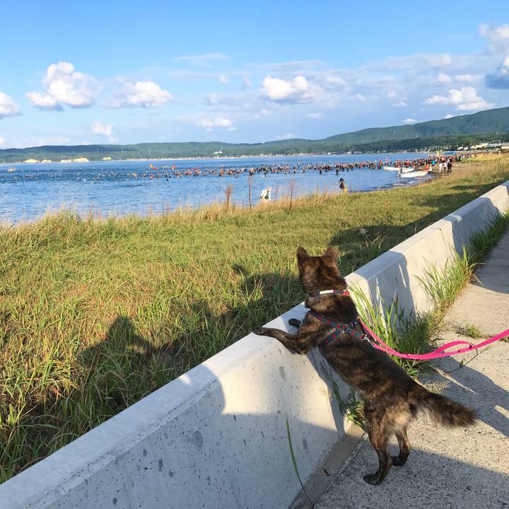 797a30ce 2736 407a 9248 da931b49bf00