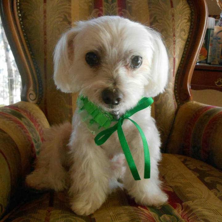 797a8524 b694 478f a4ff c29311d9acfe