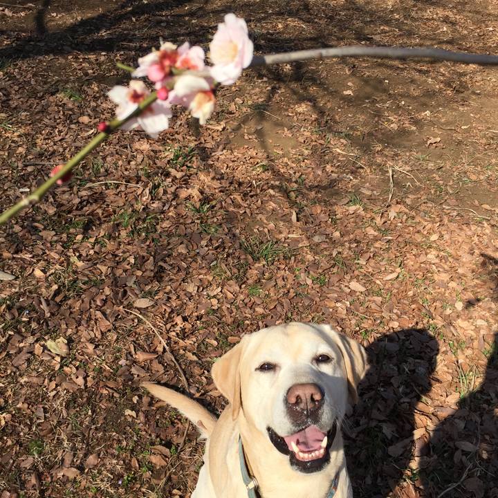 797b3387 3bee 4458 8683 871e5ca10593