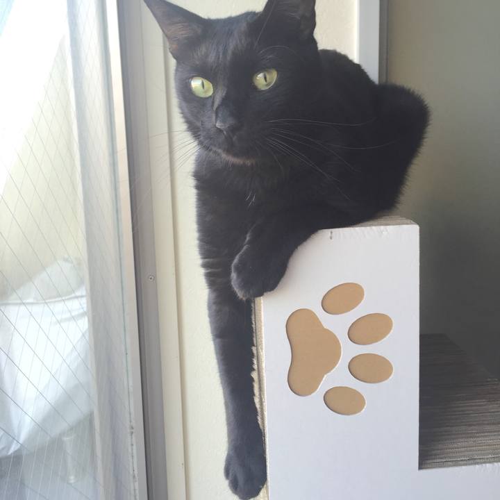 797b6362 44e0 476f 9d50 7320daa928c6