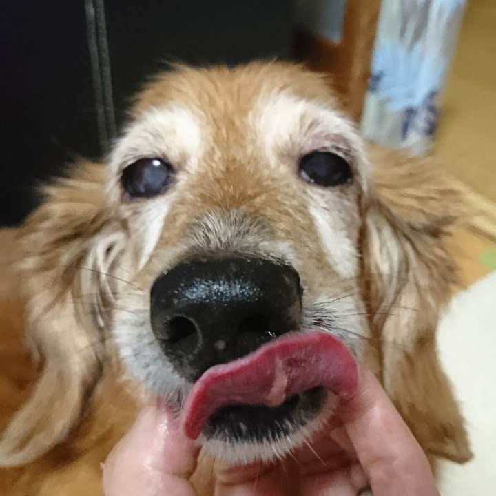 797bcd6c cb90 49d3 bfef b7bc81c8e797