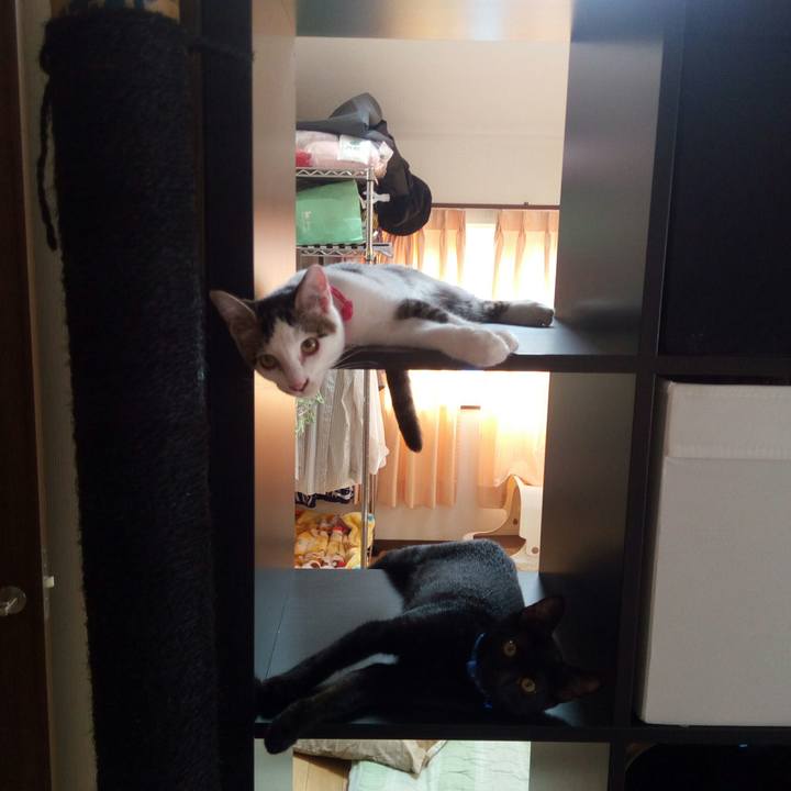 797ca4da 47c4 45eb 92a5 f6873d8cbbb1