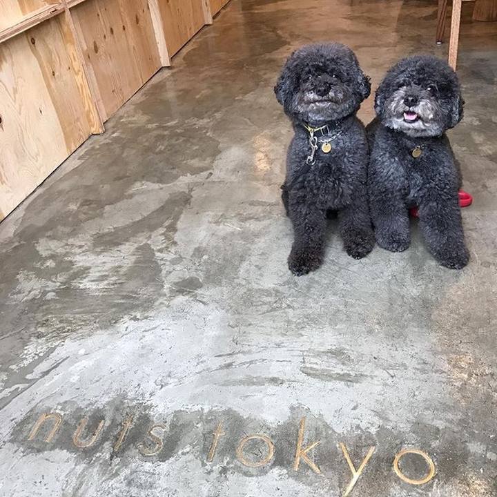 797cb31d d81d 4e4e 9aff a76c8ee75817