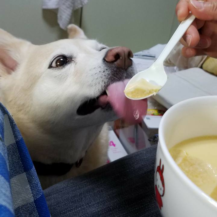 797cfe19 6078 4753 af0a c0f59fb085a1