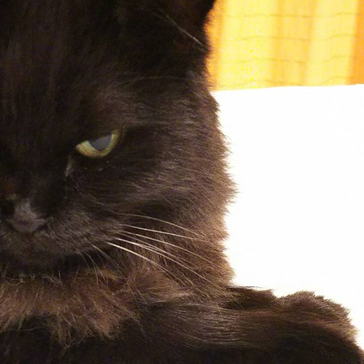 797ddcc5 e9c8 4bec 92c5 7b3549ccc4ed