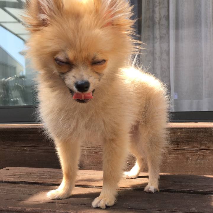 797de7b1 da08 4b84 baef 502e4232d654