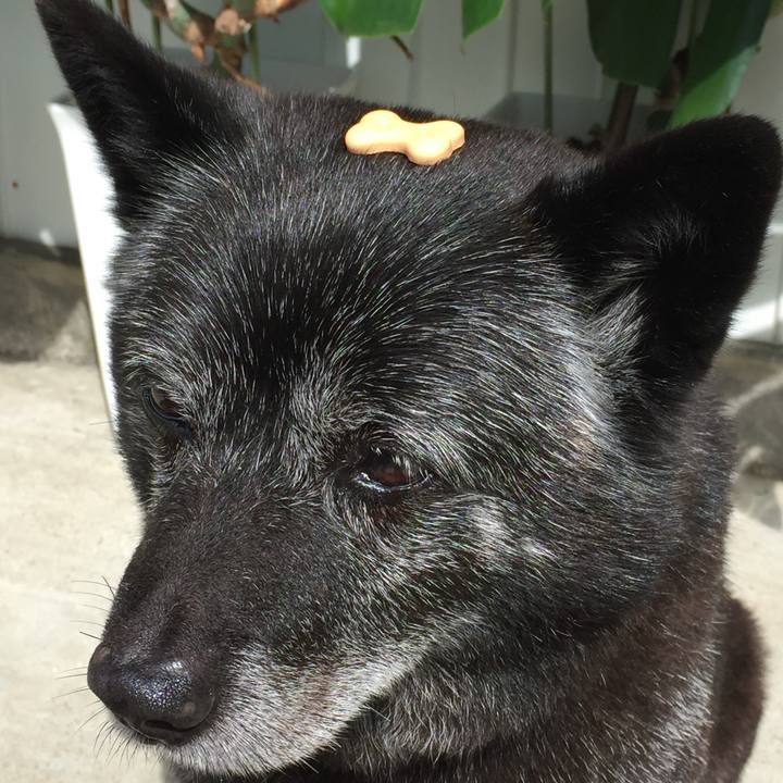 797e07f9 4eda 4b91 b7e7 0d09f99b49c3