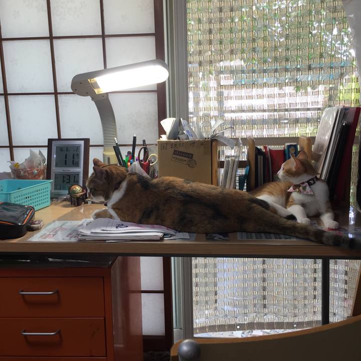 79800fbb 98a7 413c 8b28 a4dd00513f5a