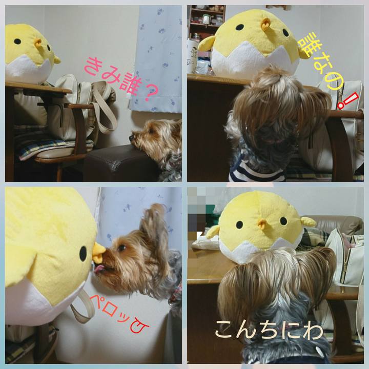 79802d47 871a 4ebb b9f9 48e8e2174965