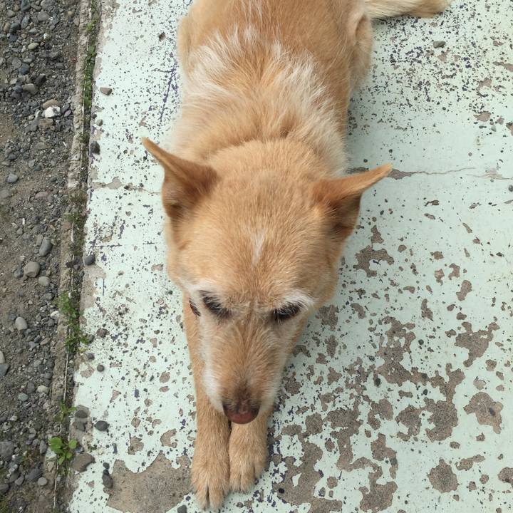 7980379e f8ca 4199 aeb8 98f1ba77bd9d