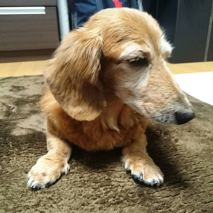 798043e0 f7ef 417d b709 8e60650478f9