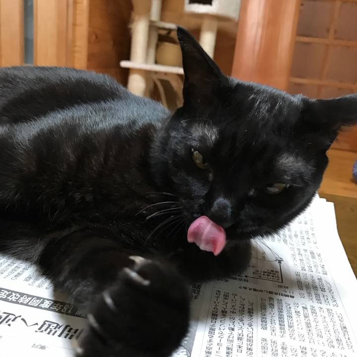 79812ace ee11 4000 975e 21cf8107c8bc