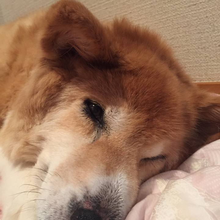 79814a41 5924 4a58 b470 577ae1b82ffd