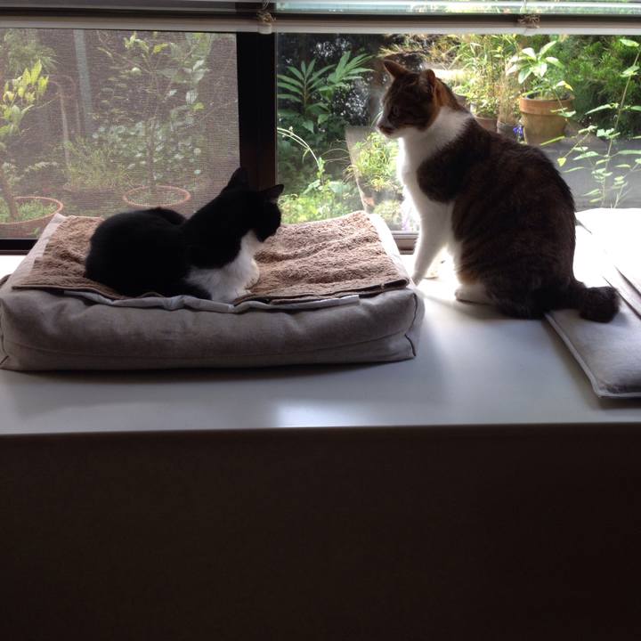 7981cfaf 82ea 414b 98fb 93cf0acfe357