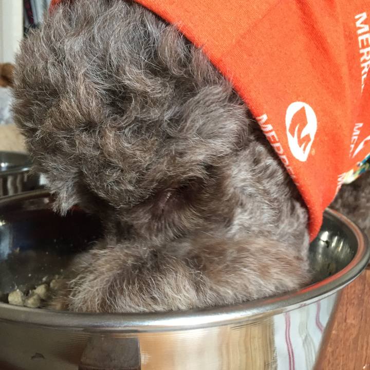 7982695d 2ee9 438d 8627 fdb11c9e4200