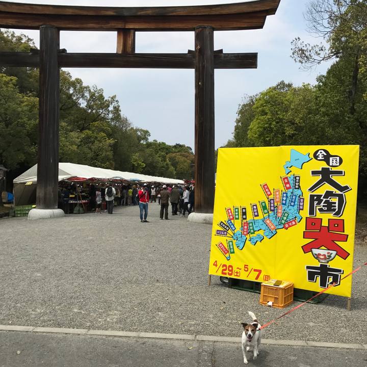 7982b005 2c7c 4e64 a696 995afab1e974