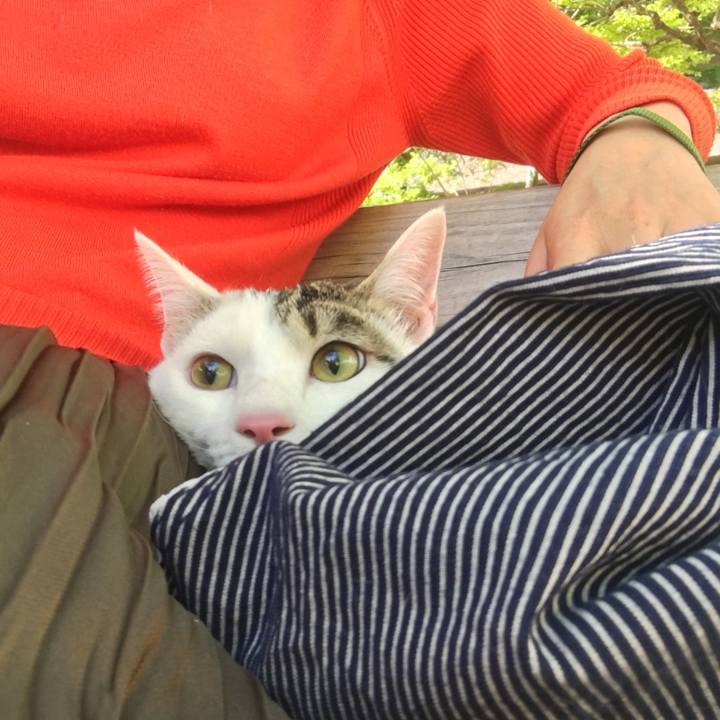 7982fc90 8c26 4c6c b782 26341af3f624