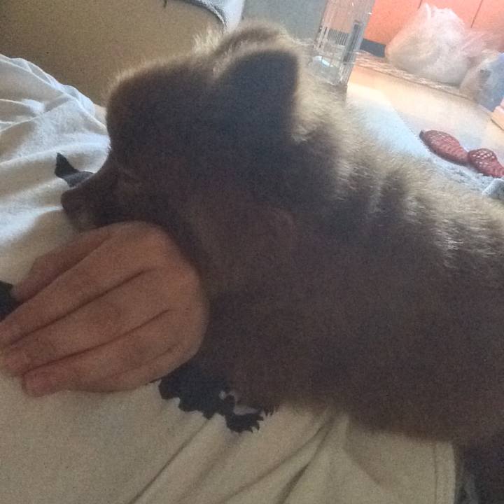 798308dc f5c5 4766 b557 c1f96fd3d5cb