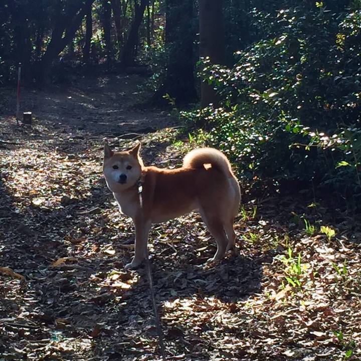 79846a0c 06dd 480f a5ab c0e2f45b258e