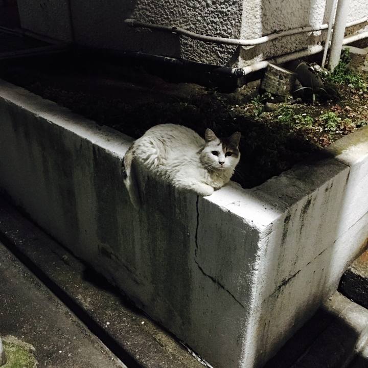 79849c72 f348 4bb6 8d1b 317e1f4e9603