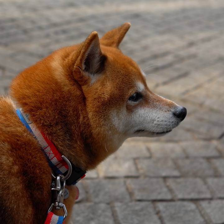 79856ee4 bbce 4051 a451 bf9fbb2b0f14