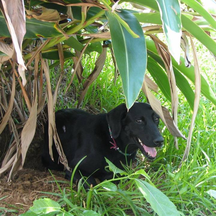 7985d125 583a 47e0 9e60 c4c9ea552290