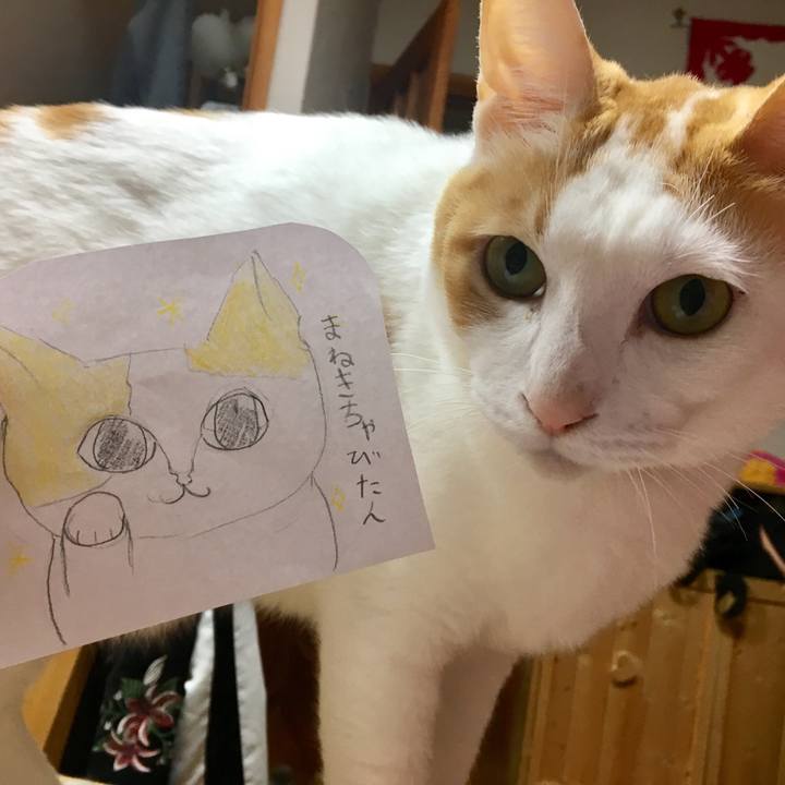 798667e5 17b9 481c 90fd 9245c217af9e