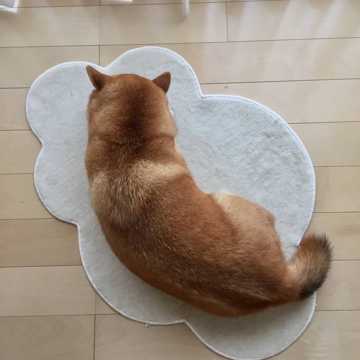 79877296 6ca6 472e b09a f9c8bda1e541