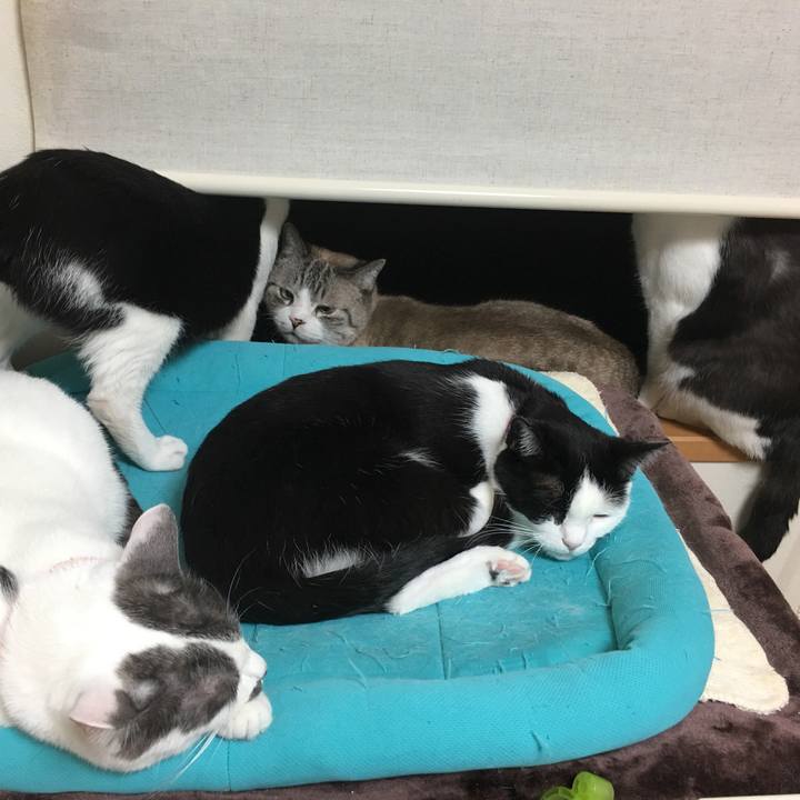 7988114c 17bb 416c 9a74 d454e07a83cb