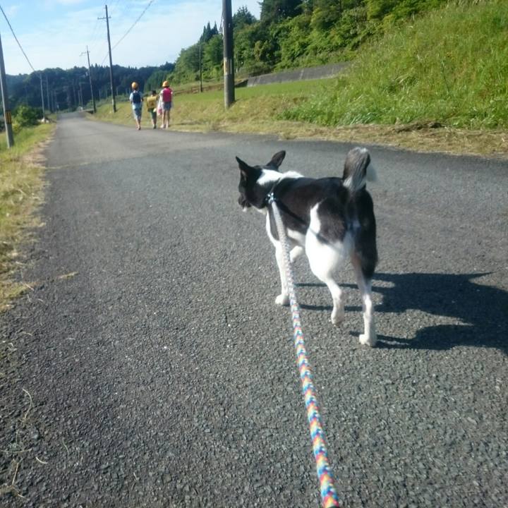 79885e2f 5f5b 4391 923a 6307c06f7a55