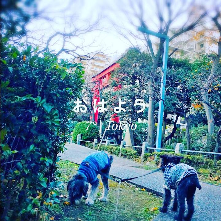 79890b14 76e2 42b0 9aaa 2ced8caafc03