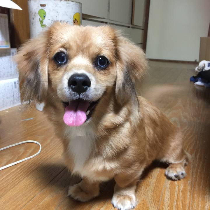 798a1fd6 e3e3 4bc4 b572 341eff5787f4