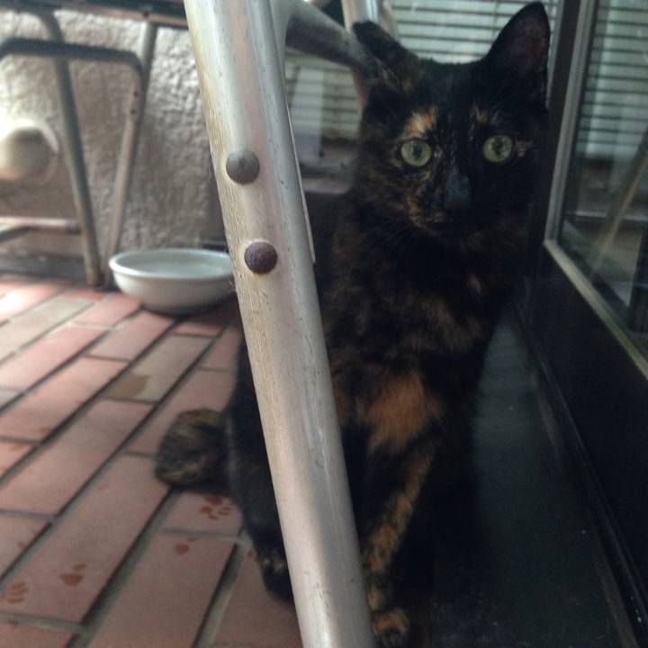 798d02d6 f0f2 4fc2 9ea3 d638c822913e