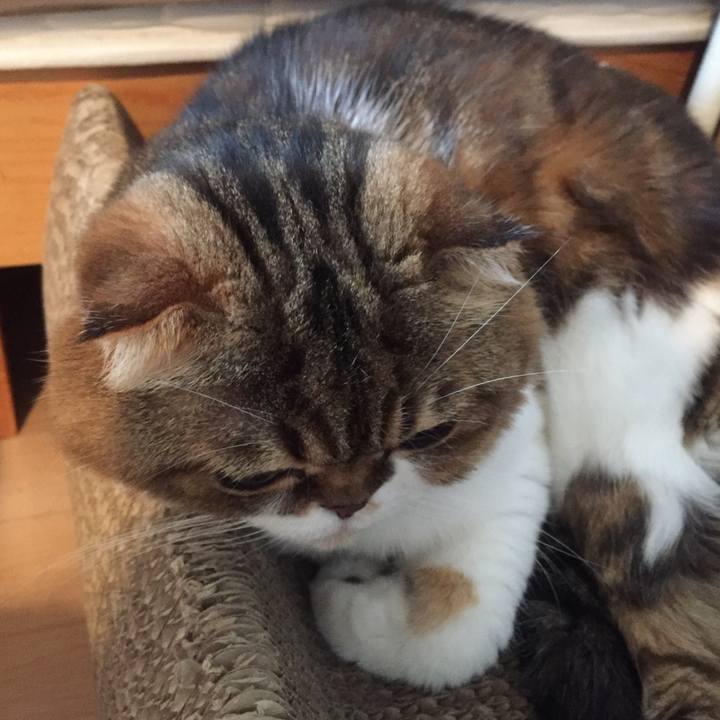 798d1359 11d2 4285 80ca 5b791d0ddbb7