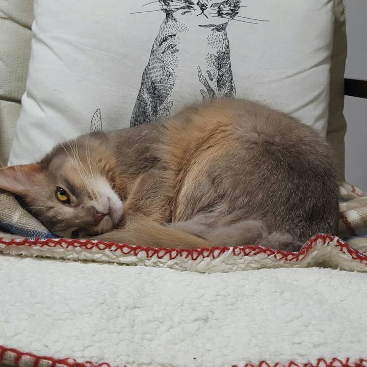 798d39fc e463 4376 86b0 7a08df9439ce