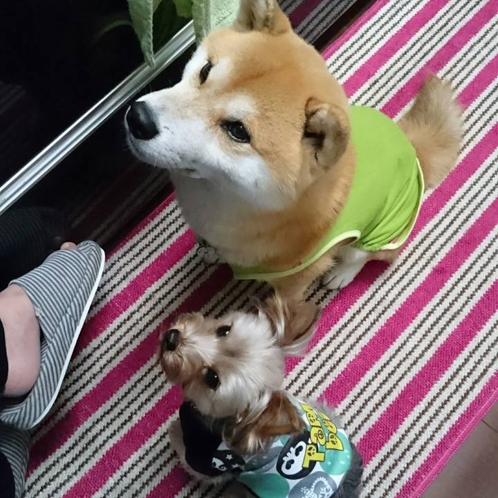 798d6371 6ee7 4b08 9e46 ba0c7d569295