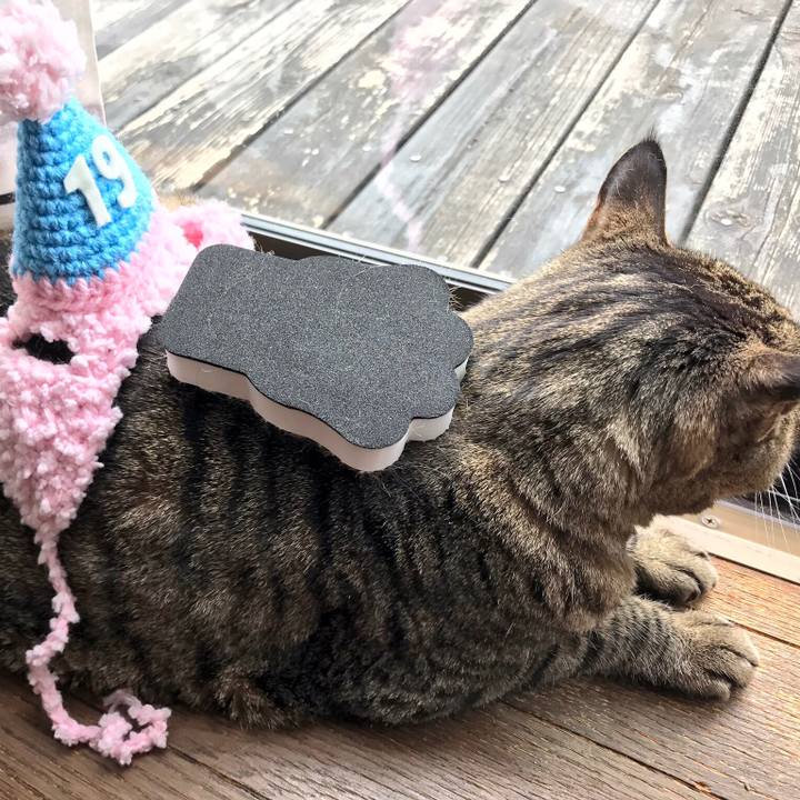 798d7aa9 ba21 4c46 b1c1 6aa98567fcd5