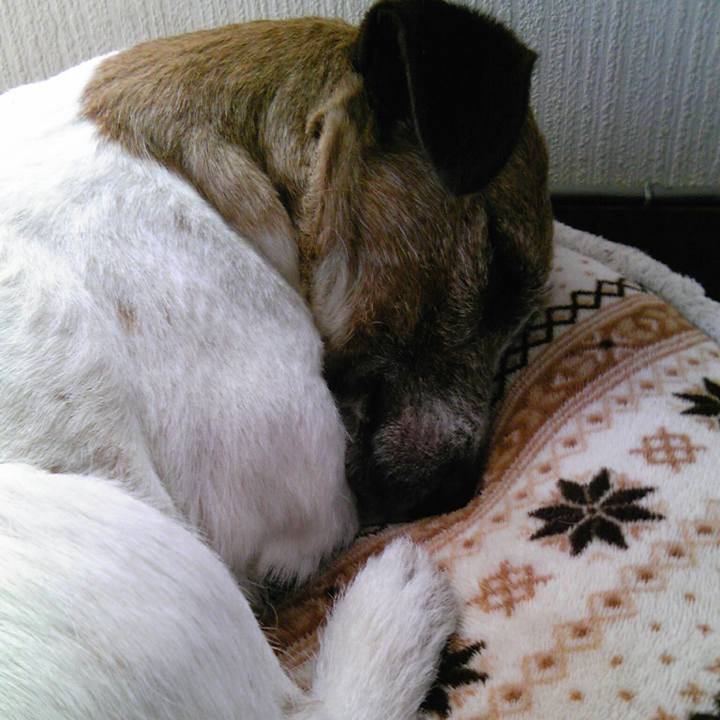 798d9d05 4a43 41c9 a18c 17e929baff4e