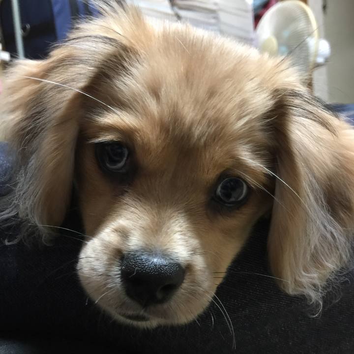 798dcae3 07f4 4d31 9153 bfda56a26f0f