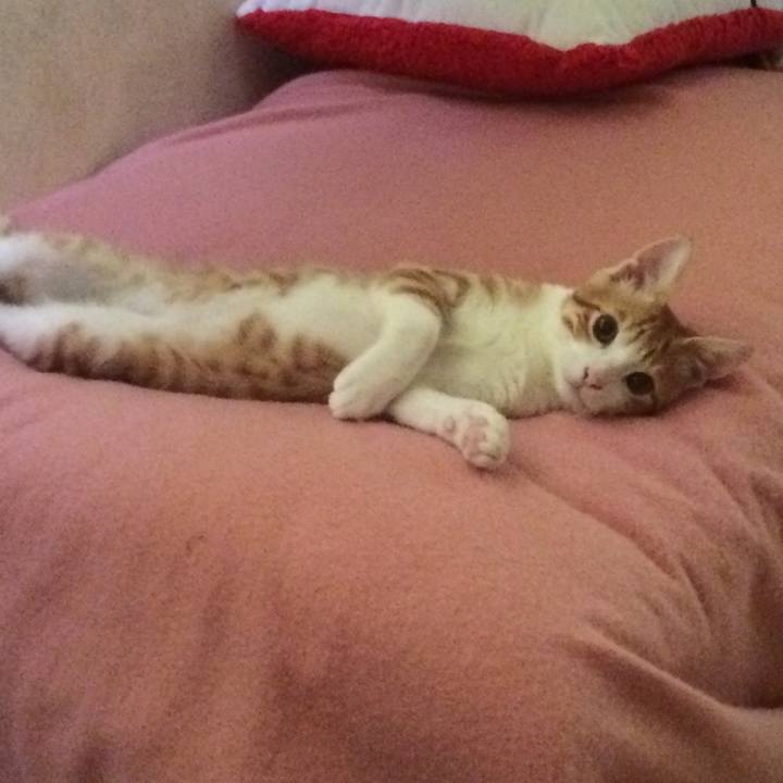 798ec79a 5f78 46ca a725 70b925cc34c9