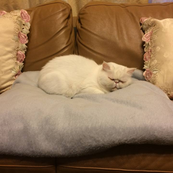 798f3f4a 5d5f 4146 af4f de3a05607d56