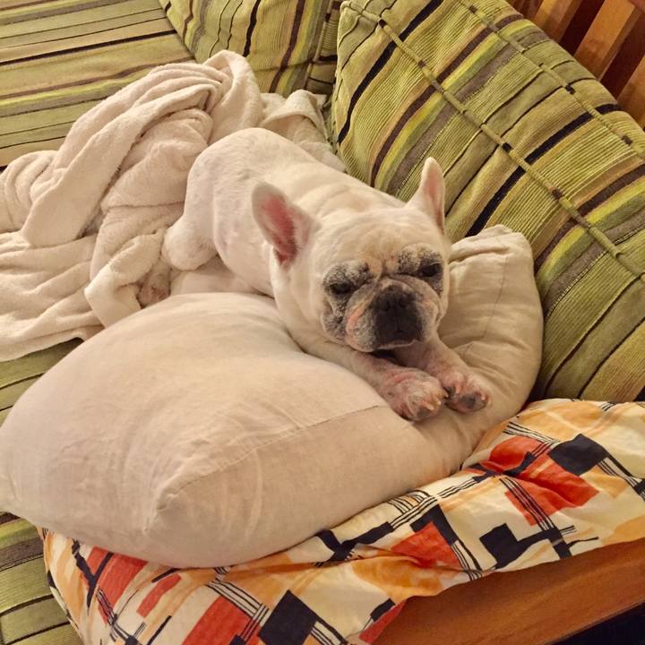 798f7871 eaf3 4261 911d e60adbe8f645