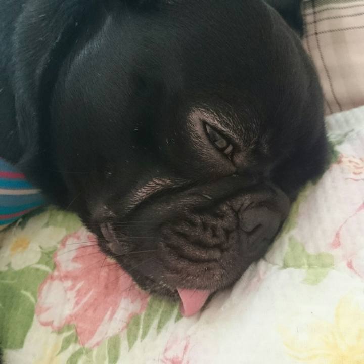 79900dde 1d9b 4d79 9ebb 37350dc0649a