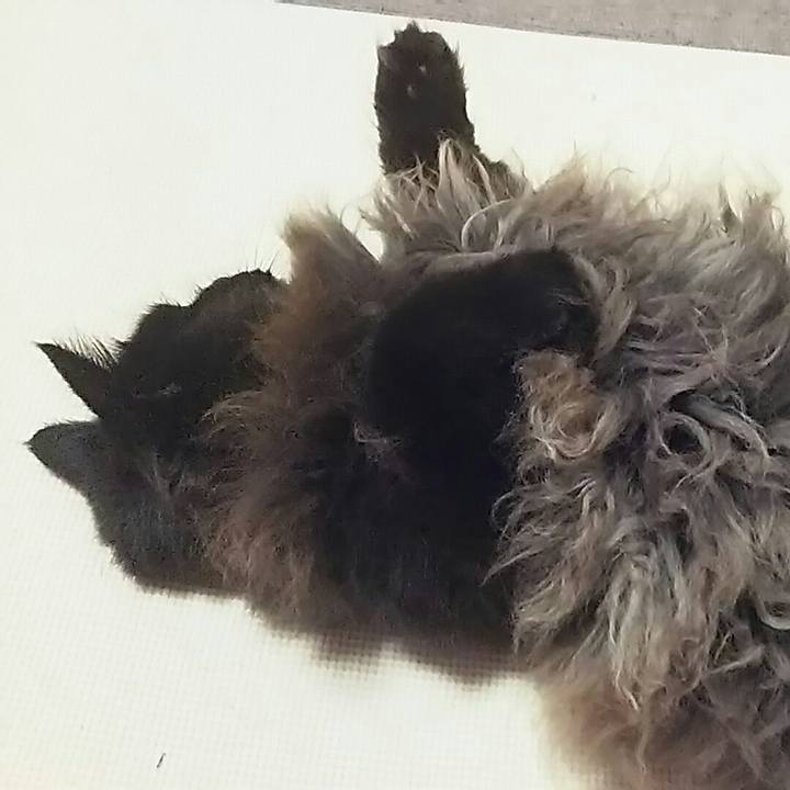 7990a4bd f16e 40f5 9f6a d9f6e38f1d61