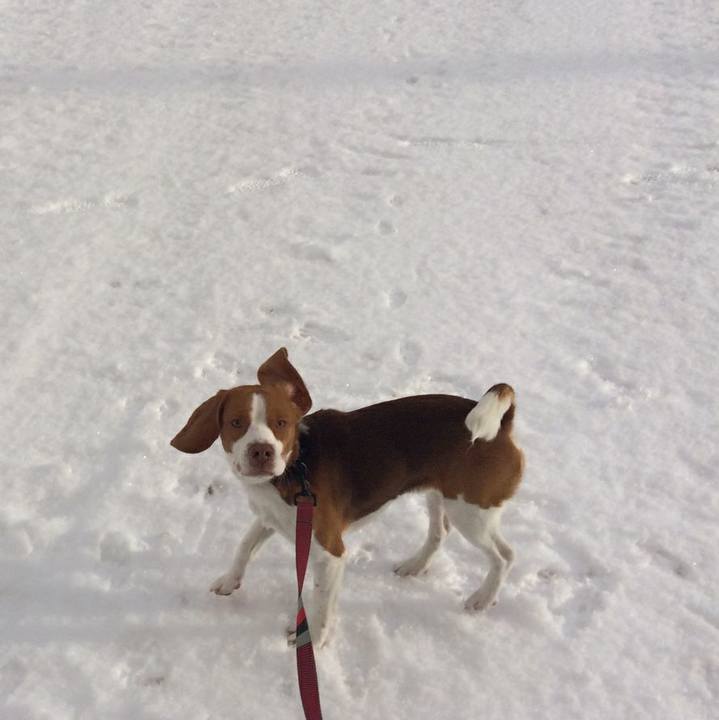 7990e010 3dd8 4b81 a144 0212a280e3d6