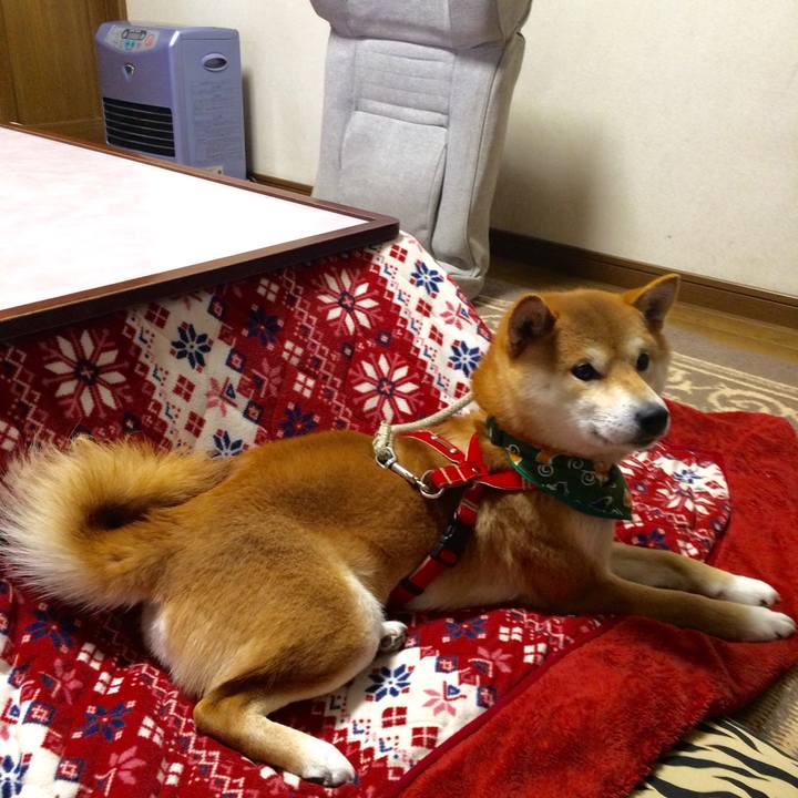 79910b4e 5e67 4ff5 a234 8e75ffd5605e