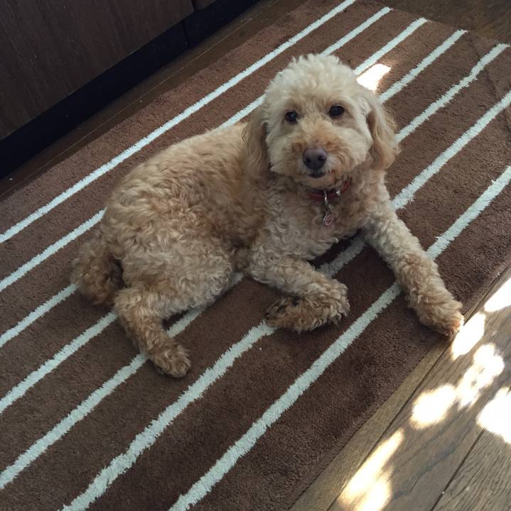 799119ad cd02 432b 9e40 87b7022ddd06