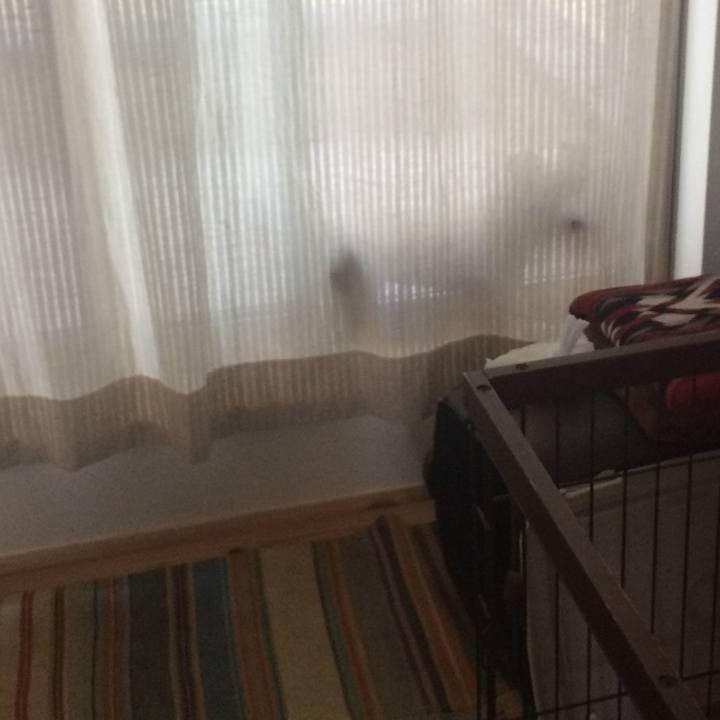 799130e5 6231 4148 b536 dd148f8c04d0